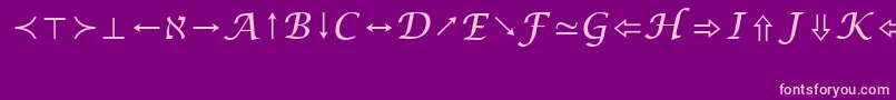 LucidaBrightMathSymbolRegular Font – Pink Fonts on Purple Background