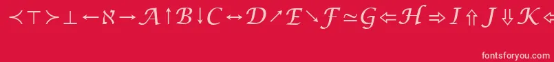 LucidaBrightMathSymbolRegular Font – Pink Fonts on Red Background