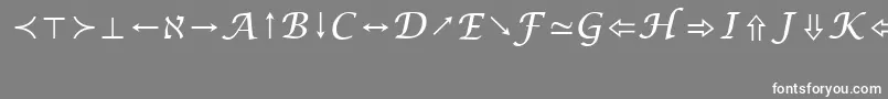 フォントLucidaBrightMathSymbolRegular – 灰色の背景に白い文字