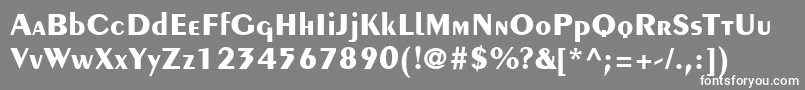 PeignotLtBold Font – White Fonts on Gray Background