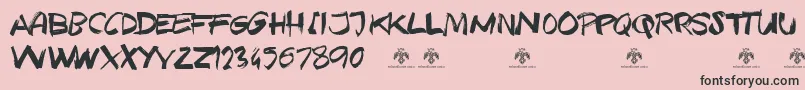 TexasGrungeDemo Font – Black Fonts on Pink Background