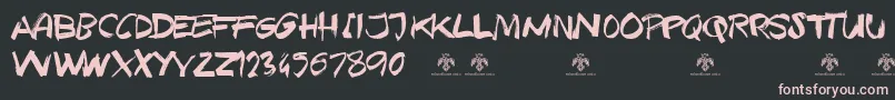 TexasGrungeDemo Font – Pink Fonts on Black Background