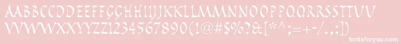 PompeijanaLtRoman Font – White Fonts on Pink Background