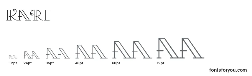 Размеры шрифта Kari