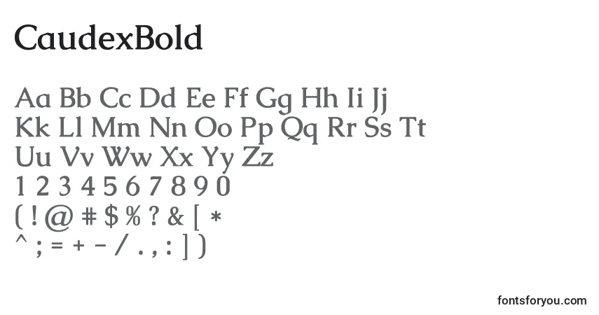 CaudexBold-fontti – aakkoset, numerot, erikoismerkit