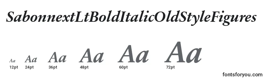 SabonnextLtBoldItalicOldStyleFigures Font Sizes