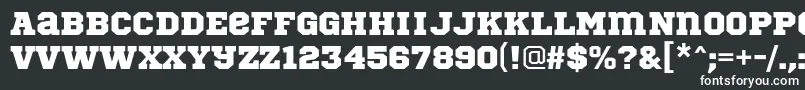 SportsWorldRegular Font – White Fonts on Black Background