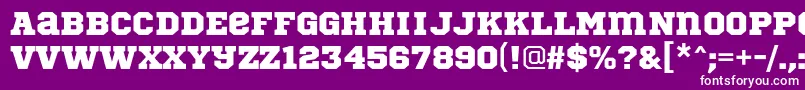 SportsWorldRegular Font – White Fonts on Purple Background
