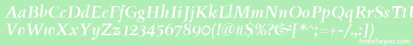 TyfaItcMediumItalic Font – White Fonts on Green Background