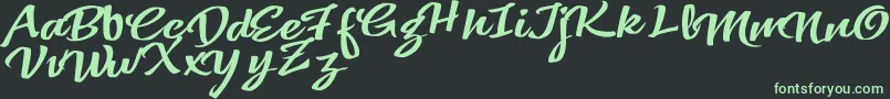 VtksColoredSoul3 Font – Green Fonts on Black Background