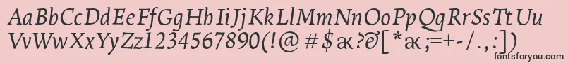 LeksaproItalic Font – Black Fonts on Pink Background