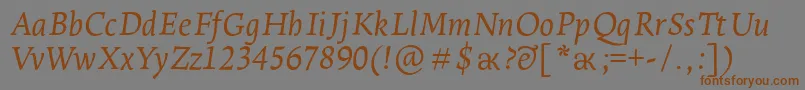 LeksaproItalic Font – Brown Fonts on Gray Background