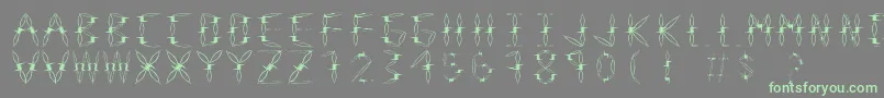 Подробнее о шрифте DangerType Шрифт DangerType – зелёные шрифты на сером фоне