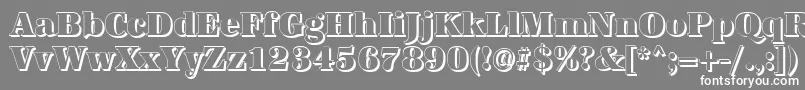 More about AntiquashCdHeavyRegular Font AntiquashCdHeavyRegular Font – White Fonts on Gray Background