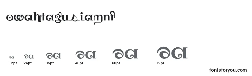 Размеры шрифта Owahtagusiamnf