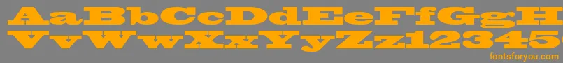 WantedPosterSsiBlack Font – Orange Fonts on Gray Background