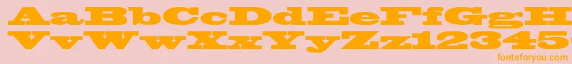 WantedPosterSsiBlack Font – Orange Fonts on Pink Background