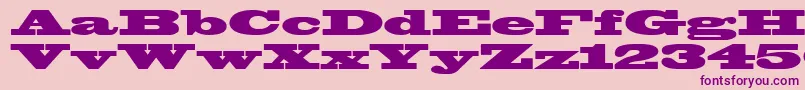 WantedPosterSsiBlack Font – Purple Fonts on Pink Background