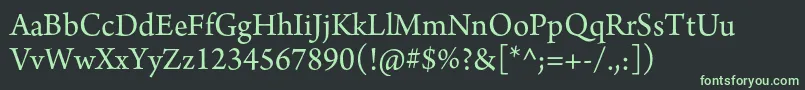 フォントArnoproRegular12pt – 黒い背景に緑の文字