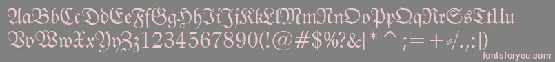 Tt0983m Font – Pink Fonts on Gray Background