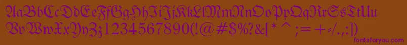 Tt0983m Font – Purple Fonts on Brown Background