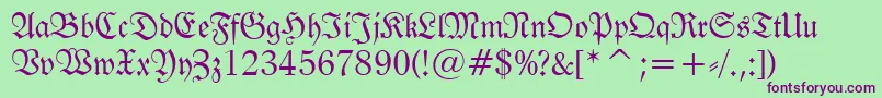 Tt0983m Font – Purple Fonts on Green Background