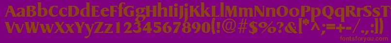 GriffonextraboldRegular Font – Brown Fonts on Purple Background