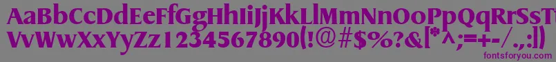 GriffonextraboldRegular Font – Purple Fonts on Gray Background