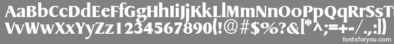 フォントGriffonextraboldRegular – 灰色の背景に白い文字