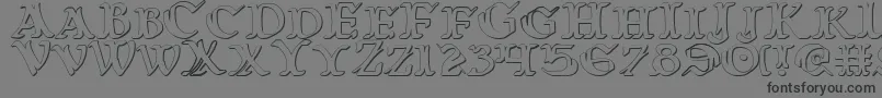 Warasgard3D-Schriftart – Schwarze Schriften auf grauem Hintergrund