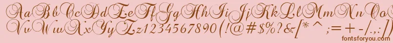 BrockScriptD Font – Brown Fonts on Pink Background
