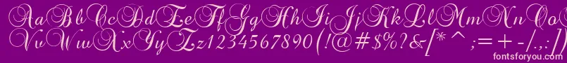 BrockScriptD Font – Pink Fonts on Purple Background