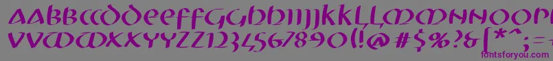 Mkuncialeobliquefs Font – Purple Fonts on Gray Background