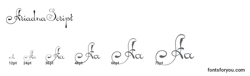 Размеры шрифта AriadnaScript