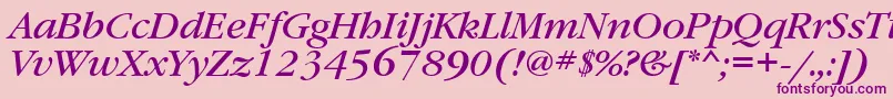 GaramondbookcttItalic Font – Purple Fonts on Pink Background