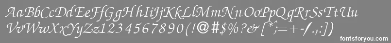 ZabriskiescriptItalic-fontti – valkoiset fontit harmaalla taustalla