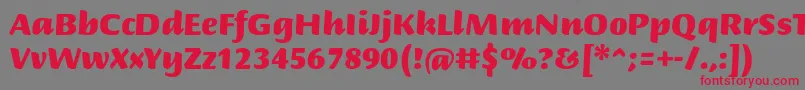 BriemscriptstdUltra-fontti – punaiset fontit harmaalla taustalla