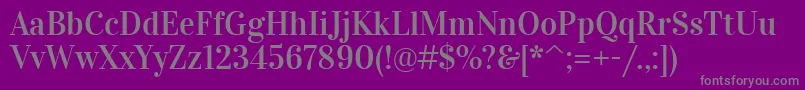 VidalokaRegular Font – Gray Fonts on Purple Background