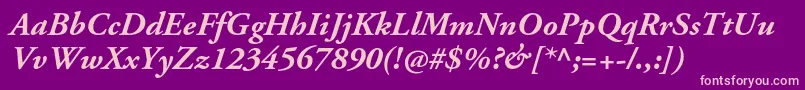 AgaramondproBolditalic Font – Pink Fonts on Purple Background