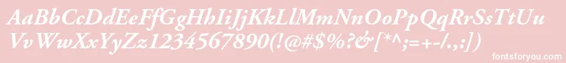 AgaramondproBolditalic Font – White Fonts on Pink Background