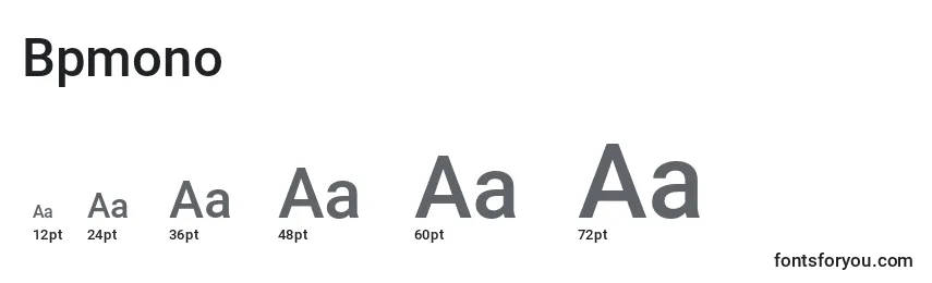 Bpmono Font Sizes