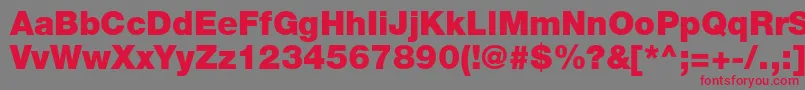 HelveticaLt95Black Font – Red Fonts on Gray Background