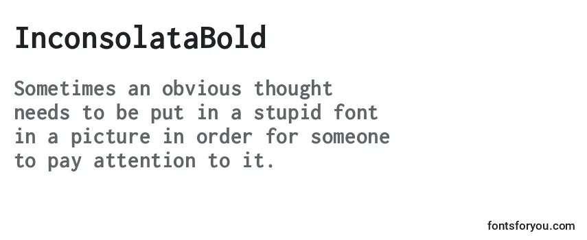Review of the InconsolataBold Font