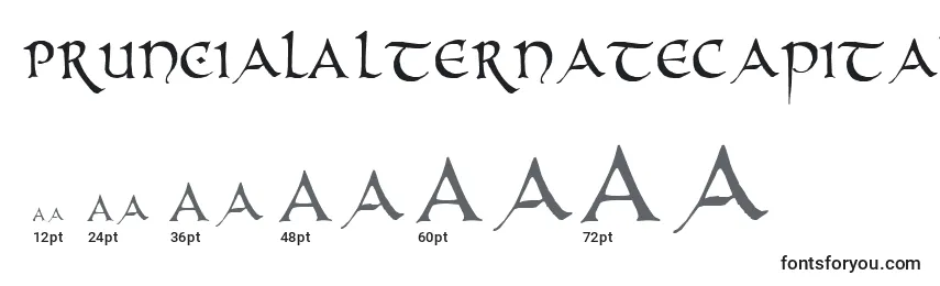 Размеры шрифта PrUncialAlternateCapitals