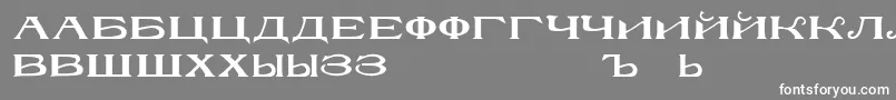 フォントRusskijmodernRegular – 灰色の背景に白い文字