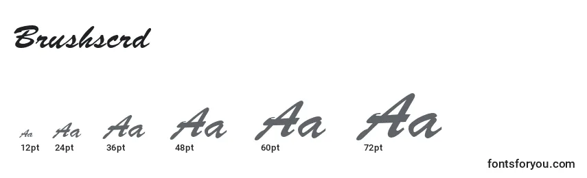 Brushscrd Font Sizes