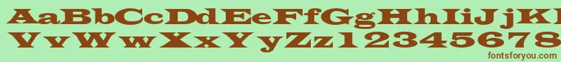 TransversesskRegular Font – Brown Fonts on Green Background