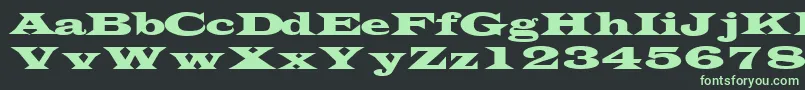 TransversesskRegular Font – Green Fonts on Black Background