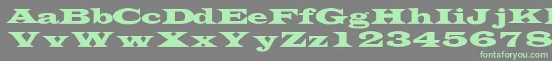フォントTransversesskRegular – 灰色の背景に緑のフォント