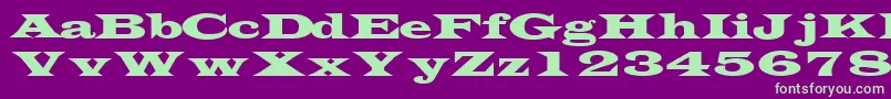TransversesskRegular Font – Green Fonts on Purple Background
